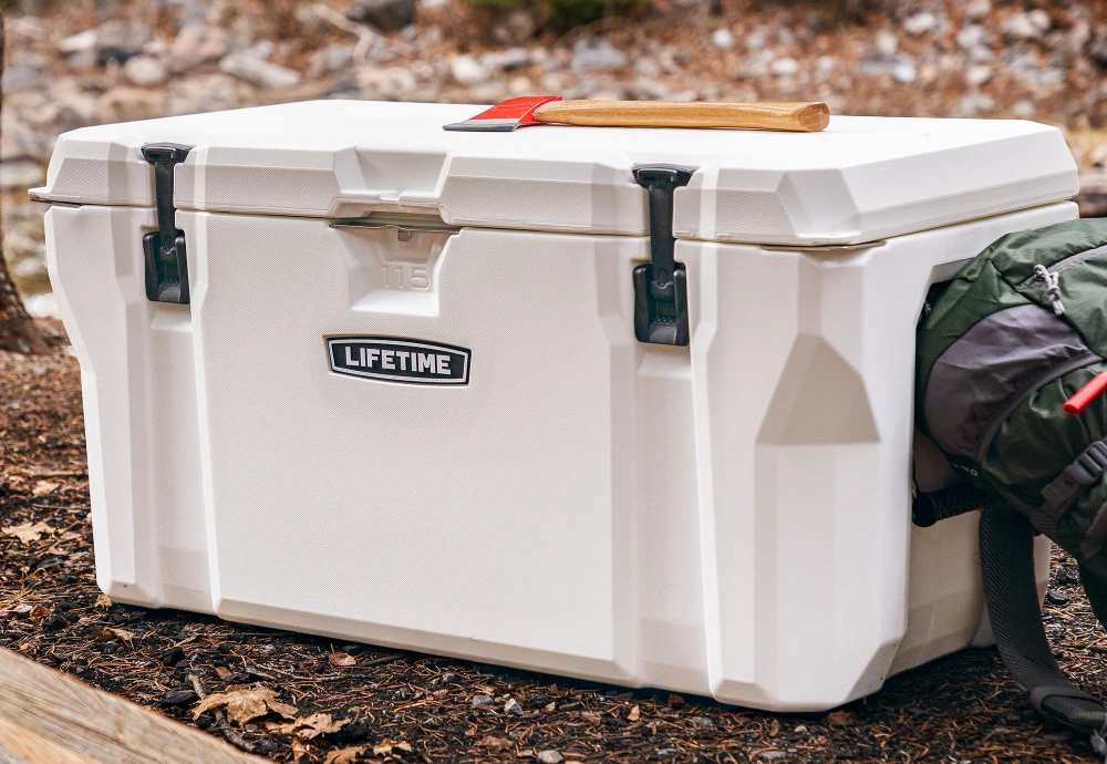 portable cooler box for car