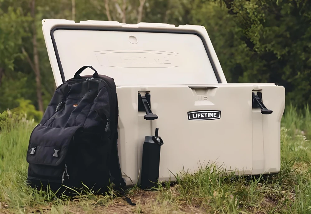 portable cooler box for car