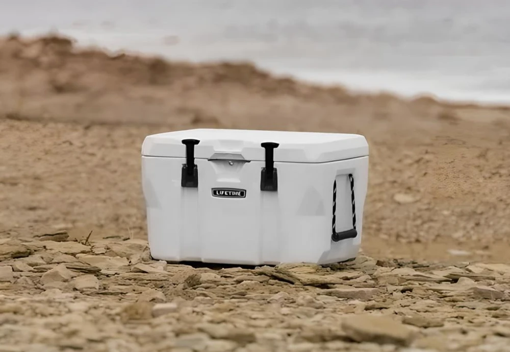 portable cooler box for car