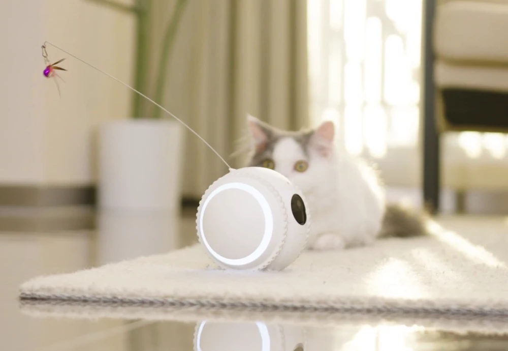 pet video camera monitor