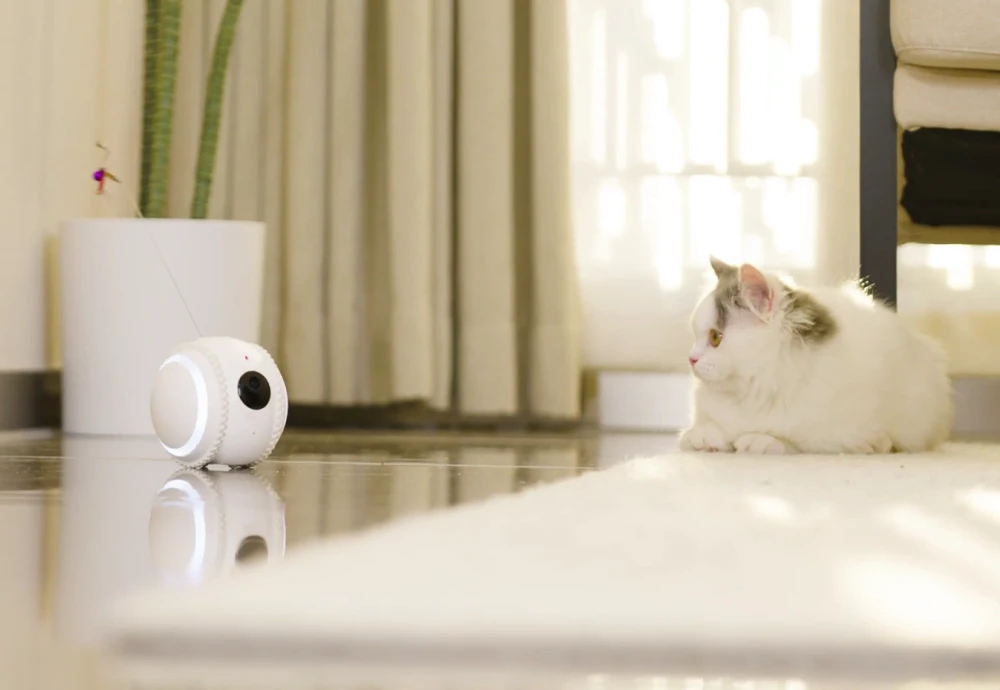 pet video camera monitor