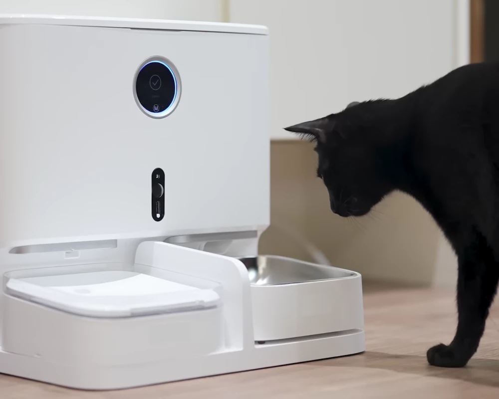 programmable automatic pet feeder